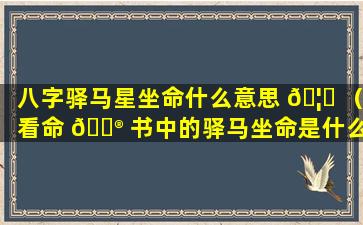 八字驿马星坐命什么意思 🦊 （看命 💮 书中的驿马坐命是什么意思）